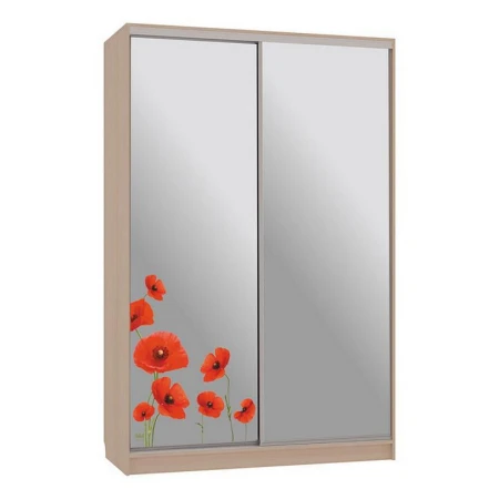 Шкаф-купе Рио 4-600 маки