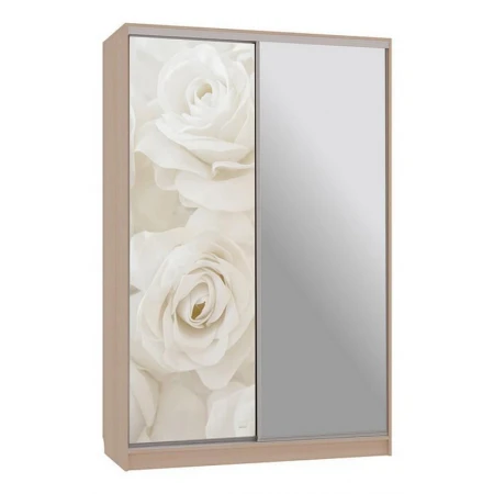 Шкаф-купе Рио 9-600 розы