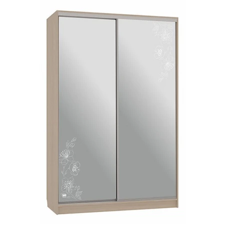 Шкаф-купе Рио 4-600 токио