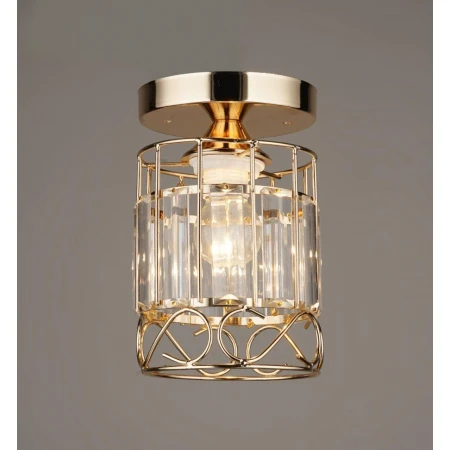 ВР-N3891/1H FGD D125*H190мм (20) светильник потоло [01095021] - Эконом-Плюс люстры