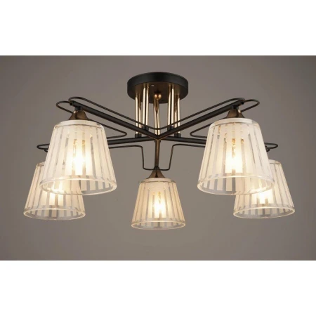 ВР-A3379/5 BK+FG (4) светильник потолочный [01094274] - Эконом класс люстры