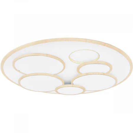 Потолочный светодиодный светильник Globo Tarabina 48279-80