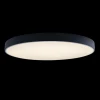 Потолочный светодиодный светильник Loft IT Axel 10002/48 black