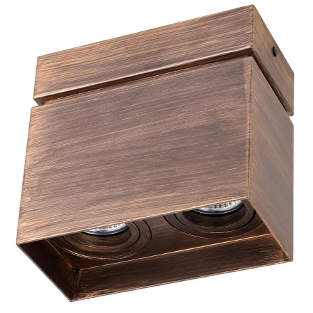 Точечный светильник Favourite 2794-2U Retro