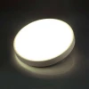 Настенно-потолочный светодиодный светильник Sonex Losta 7628/EL Настенно-потолочный светодиодный светильник Sonex Losta 7628/EL