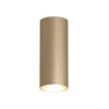 Накладной светильник Denkirs TUBE DK2051-SG Накладной светильник Denkirs TUBE DK2051-SG