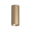 Накладной светильник Denkirs TUBE DK2051-SG Накладной светильник Denkirs TUBE DK2051-SG