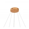 Подвесная светодиодная люстра Zortes RINGOLIGHT ZRS.33320.63C