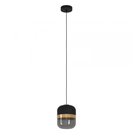 Подвесной светильник Eglo Sinsiga 39918