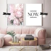 Подвесной светильник Loft IT Monro 10213/B Black