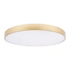 Потолочный светодиодный светильник Loft IT Flims 10228/B