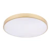 Потолочный светодиодный светильник Loft IT Flims 10228/B