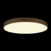 Потолочный светодиодный светильник Loft IT Flims 10228/B