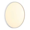 Настенно-потолочный светодиодный светильник Sonex Mitra Alfa White 7659/40L