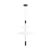 Подвесной светильник Loft IT Skylar 10244/C Black