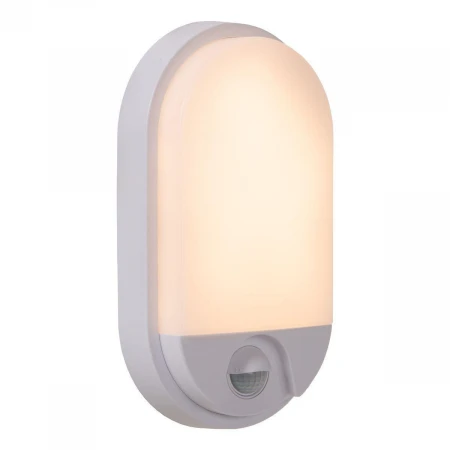 Уличный настенный светодиодный светильник  Lucide Hups Ir 22864/10/31