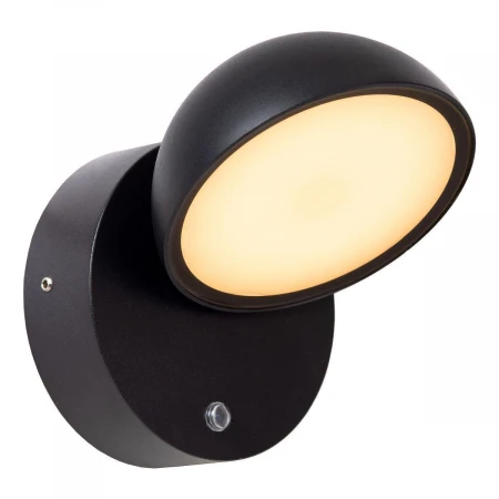 Уличный настенный светодиодный светильник  Lucide Finn 22865/12/30