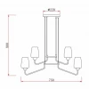 Подвесная люстра Rivoli Gera 4065-212 Б0047326
