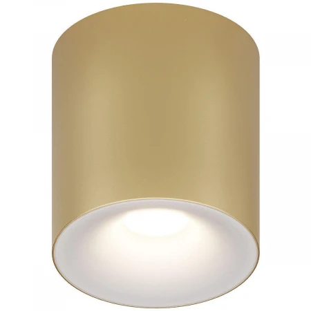 Потолочный светильник Maytoni Technical Spark C094-GU10-MG