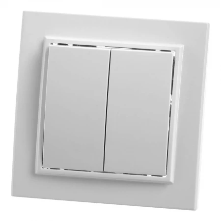 Выключатель двухклавишный Feron Stekker Эрна PSW10900401 39044