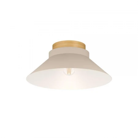 Потолочный светильник Eglo Moharras 900736