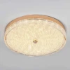 Потолочный светильник LED4U L1117-500 GD