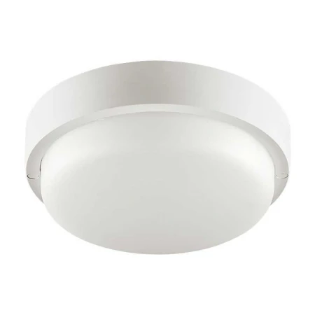Накладной светодиодный светильник WOLTA LCL04-8W-R21-4K-SM