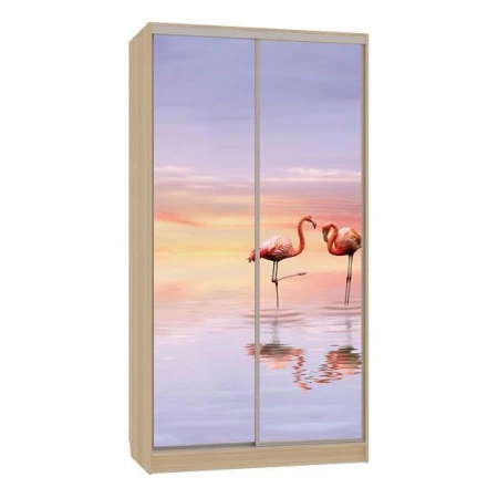 Шкаф-купе Рио 7-600