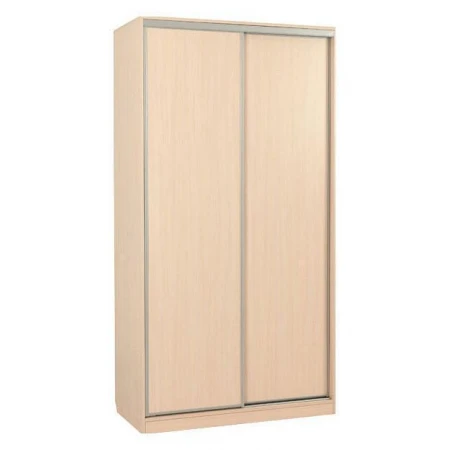 Шкаф-купе Рио 5-600