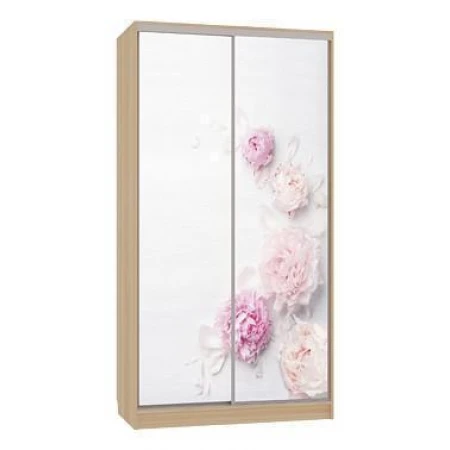 Шкаф-купе Рио 7-600 17