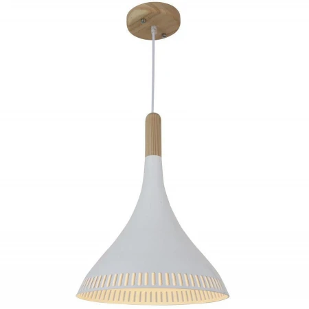 Светильник ST LUCE SL710.503.01