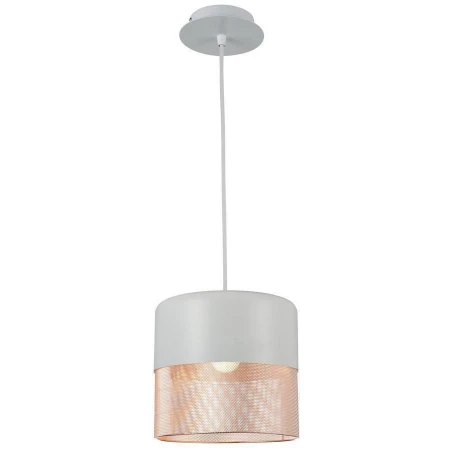 Светильник ST LUCE SL976.443.01 Tondatto