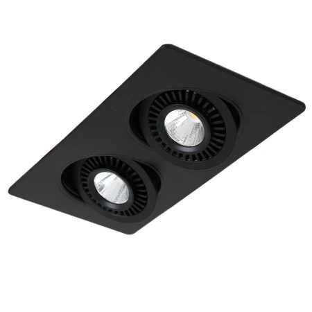 Точечный светильник Favourite 2416-2U Cardine