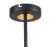 Потолочная люстра F-Promo Viator 2558-8P Потолочная люстра F-Promo Viator 2558-8P
