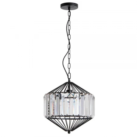 Подвесной светильник Arte Lamp Cassel A1790SP-1BK