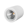 Потолочный светодиодный светильник Arlight SP-Focus-R120-16W Warm White 021065 Потолочный светодиодный светильник Arlight SP-Focus-R120-16W Warm White 021065