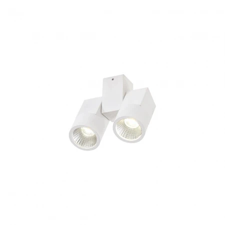 Потолочный светодиодный светильник Citilux Дубль CL556100