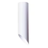 Потолочный светильник Arte Lamp Pilon A1622PL-1WH Потолочный светильник Arte Lamp Pilon A1622PL-1WH