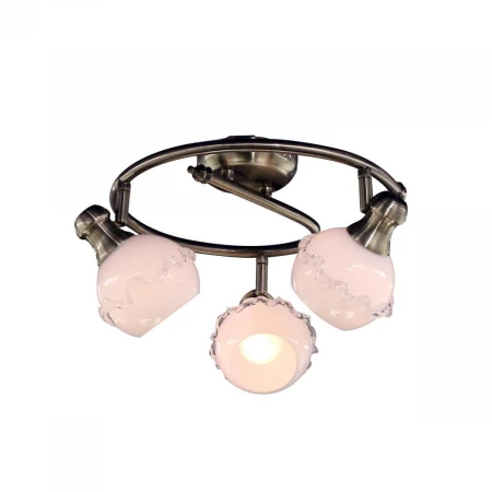 Спот Citilux Кампана CL540531