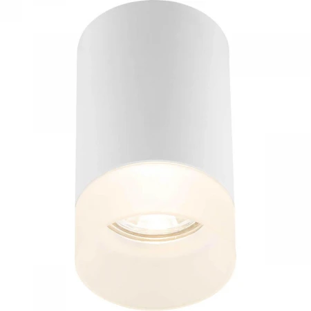 Потолочный светильник Globo Jenny 12017W